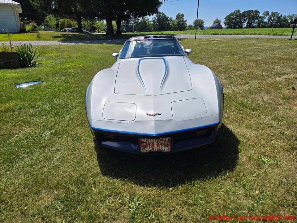 1981 Chevrolet Corvette C3 - Image 9 of 31