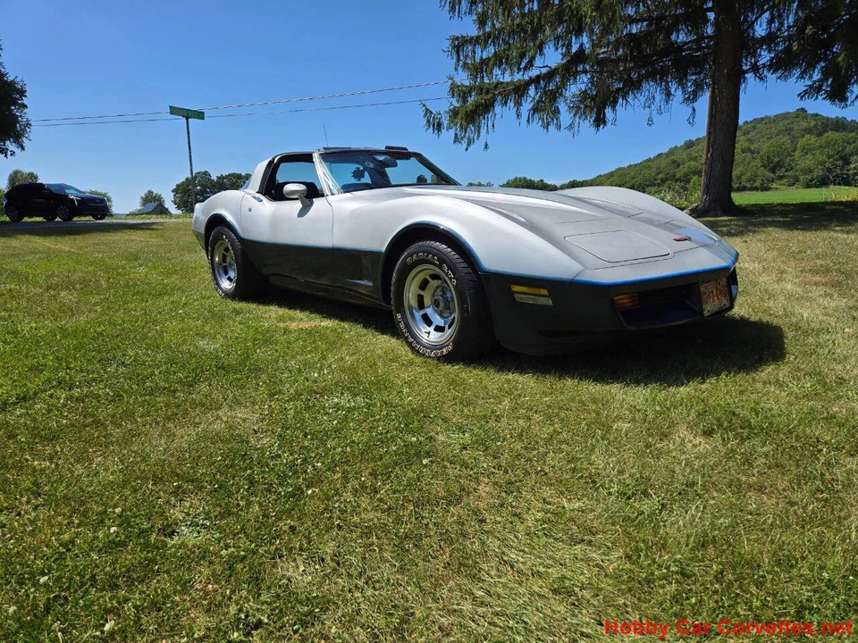 1981 Chevrolet Corvette C3 - Image 3 of 31