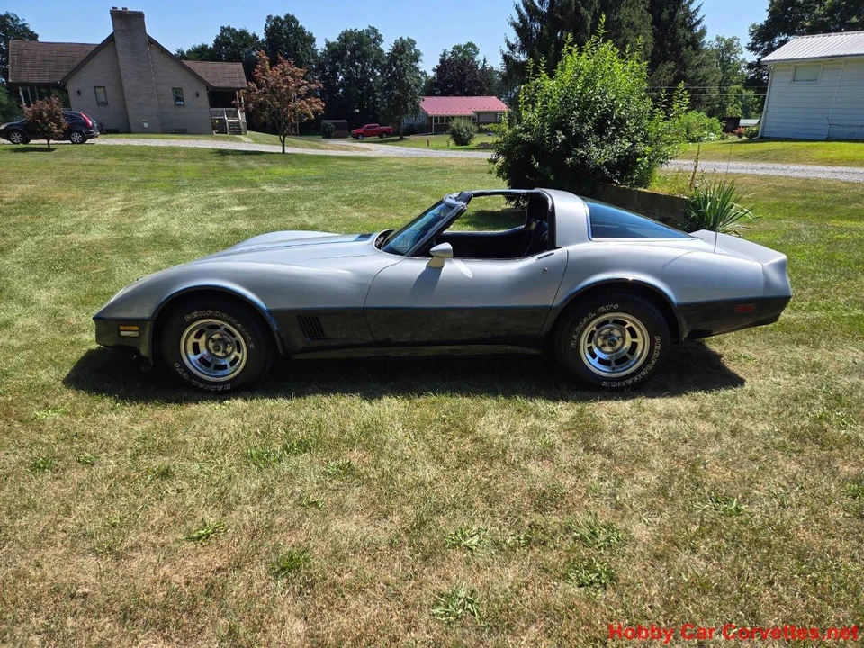 1981 Chevrolet Corvette C3 - Image 10 of 31