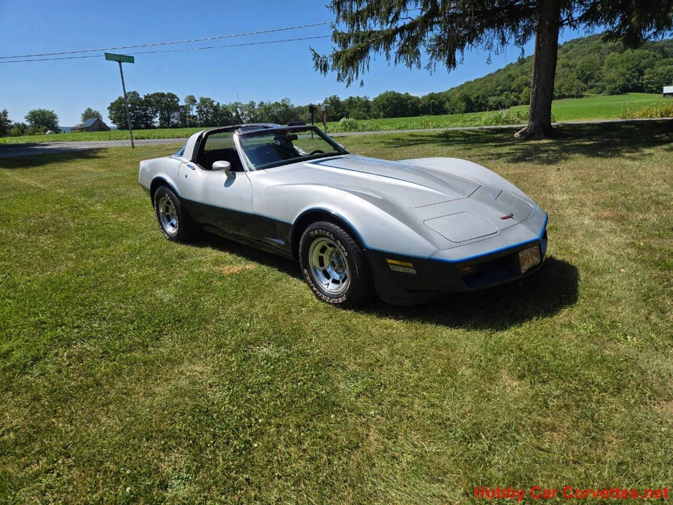 1981 Chevrolet Corvette C3 - Image 8 of 31