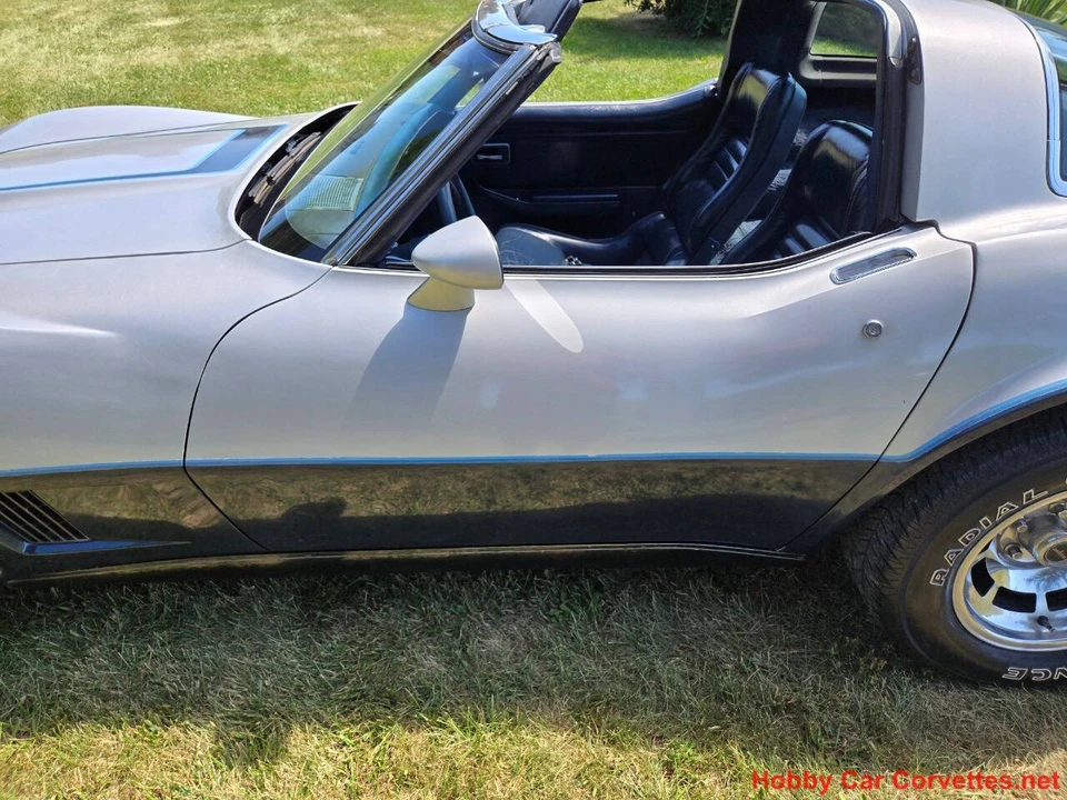 1981 Chevrolet Corvette C3 - Image 23 of 31