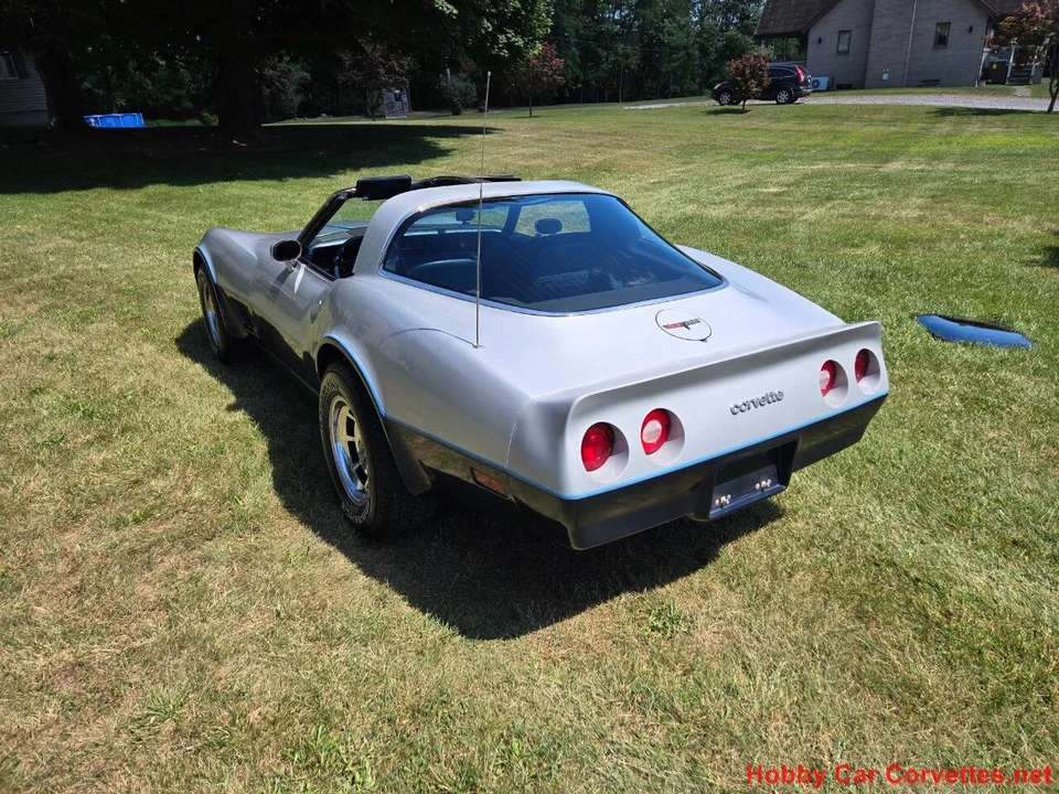 1981 Chevrolet Corvette C3 - Image 11 of 31