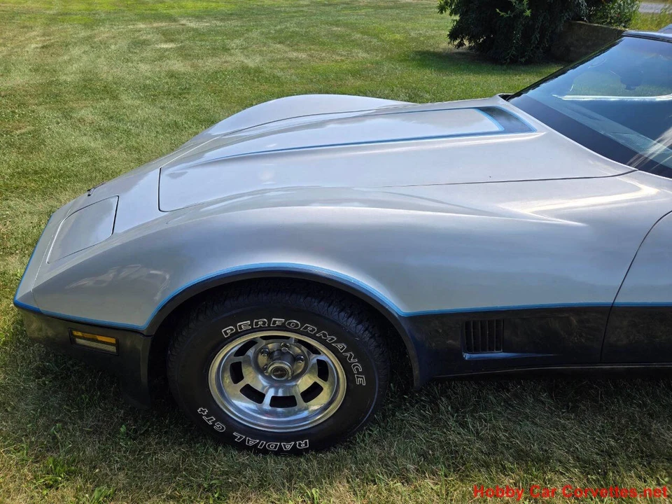 1981 Chevrolet Corvette C3 - Image 21 of 31