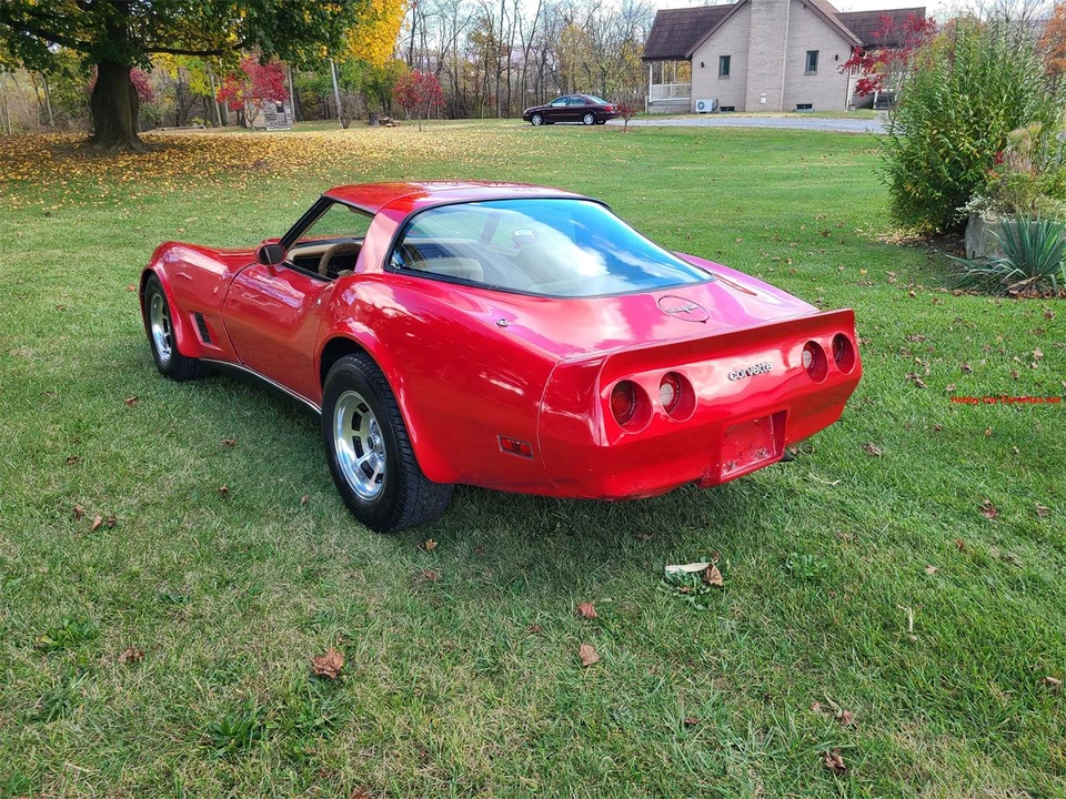 1981 Chevrolet Corvette C3 - Image 2 of 20