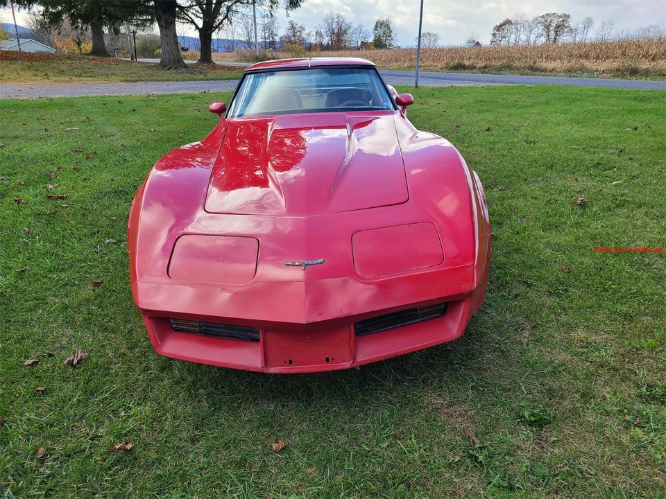 1981 Chevrolet Corvette C3 - Image 4 of 20