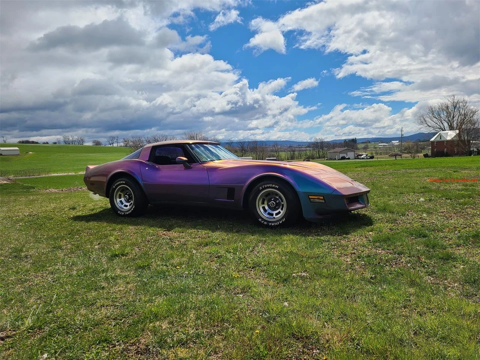 1981 Chevrolet Corvette C3 - Image 8 of 31