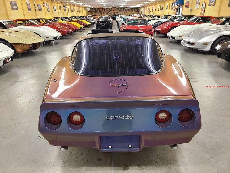 1981 Chevrolet Corvette C3 - Image 19 of 31
