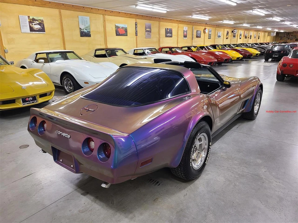 1981 Chevrolet Corvette C3 - Image 20 of 31