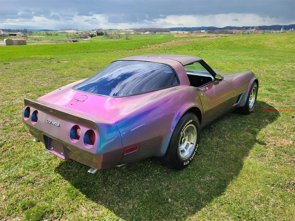 1981 Chevrolet Corvette C3 - Image 4 of 31