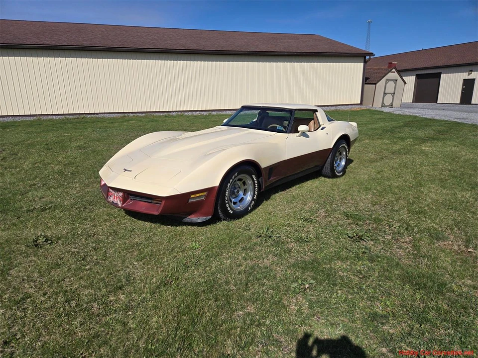 1981 Chevrolet Corvette C3 - Image 2 of 31