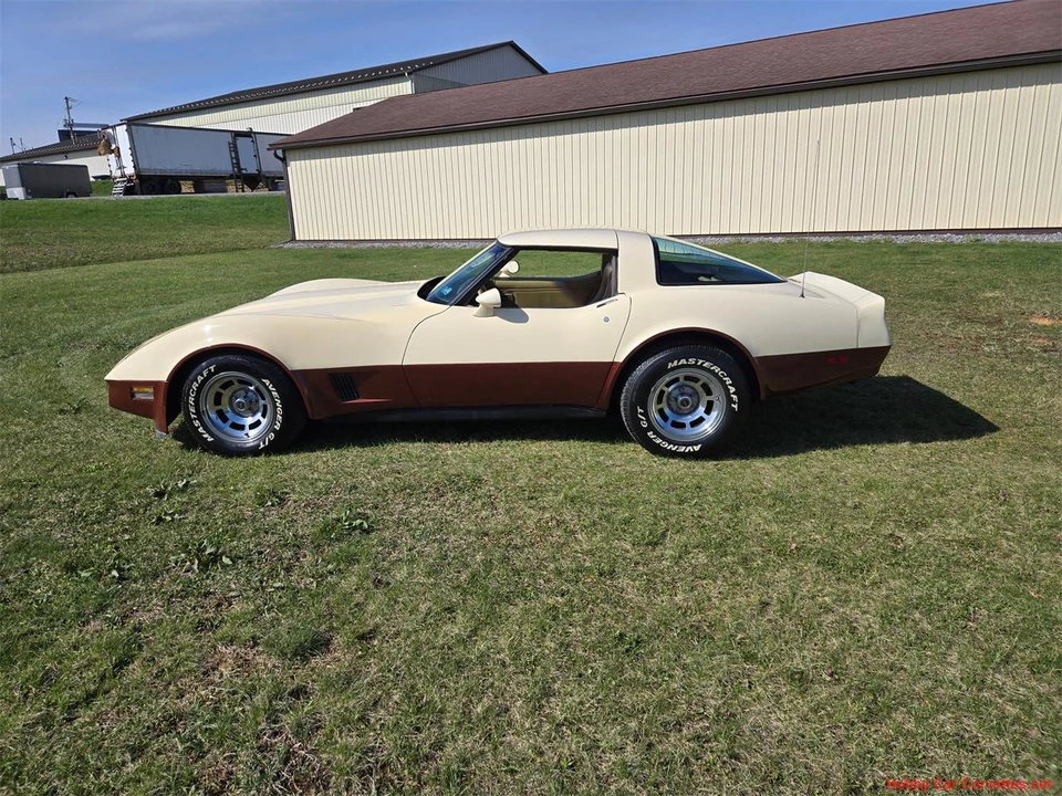 1981 Chevrolet Corvette C3 - Image 3 of 31
