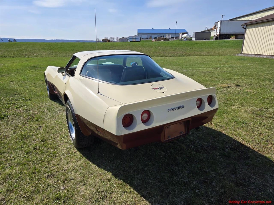 1981 Chevrolet Corvette C3 - Image 4 of 31