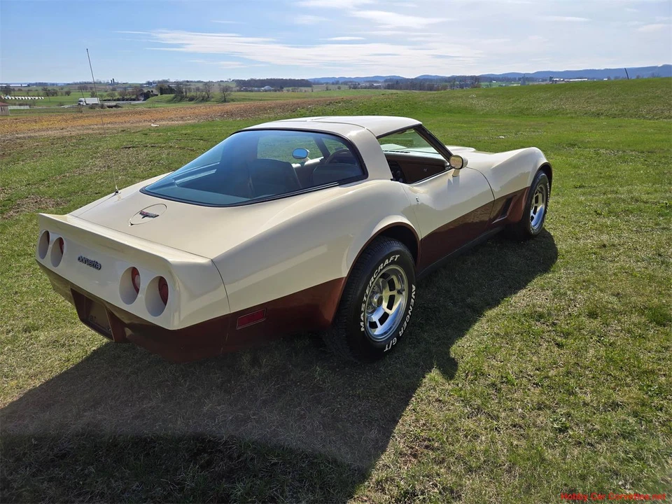 1981 Chevrolet Corvette C3 - Image 5 of 31