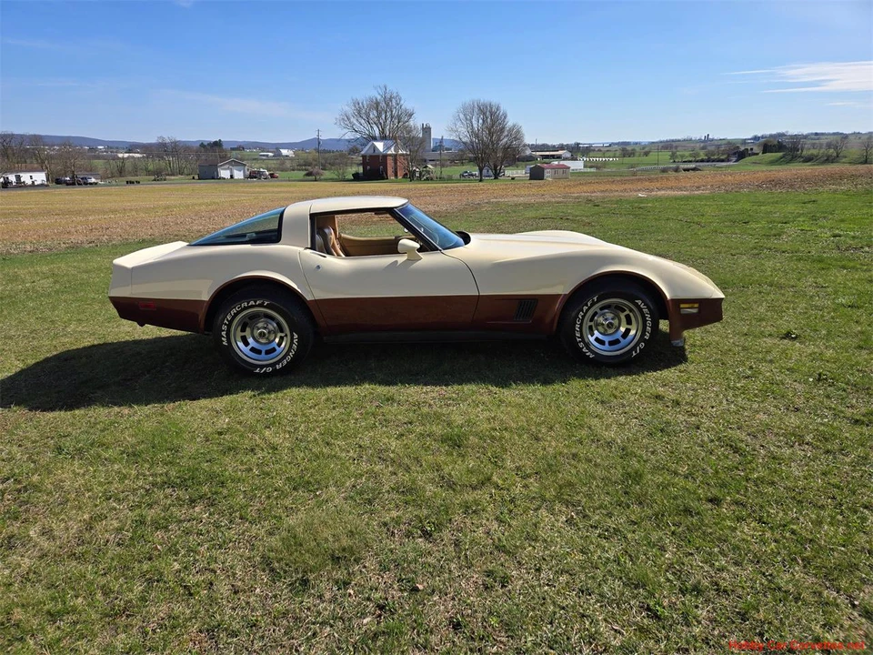 1981 Chevrolet Corvette C3 - Image 6 of 31