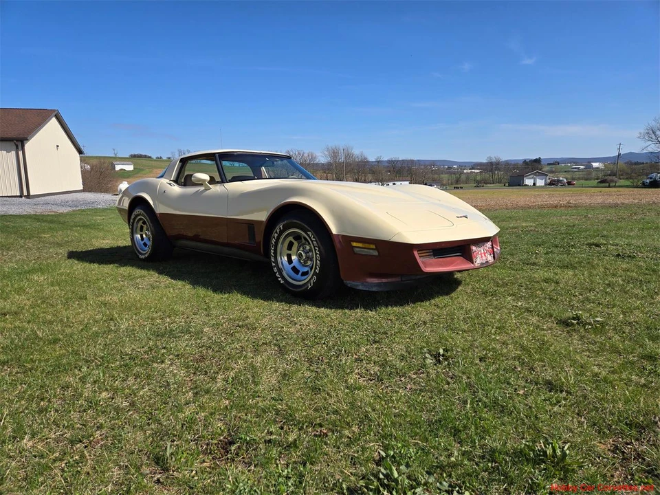 1981 Chevrolet Corvette C3 - Image 7 of 31