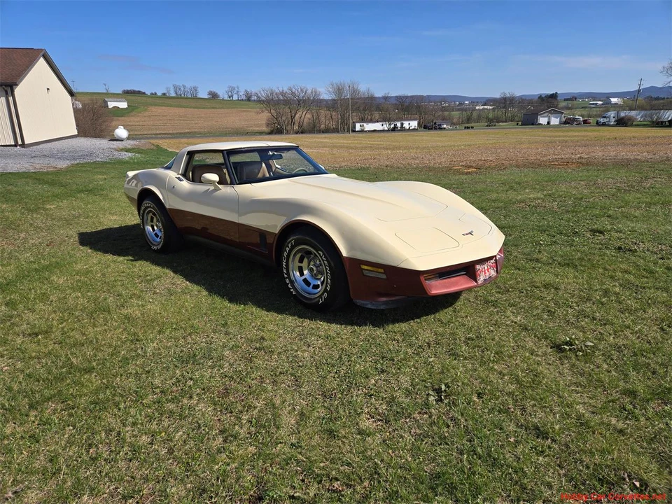 1981 Chevrolet Corvette C3 - Image 8 of 31