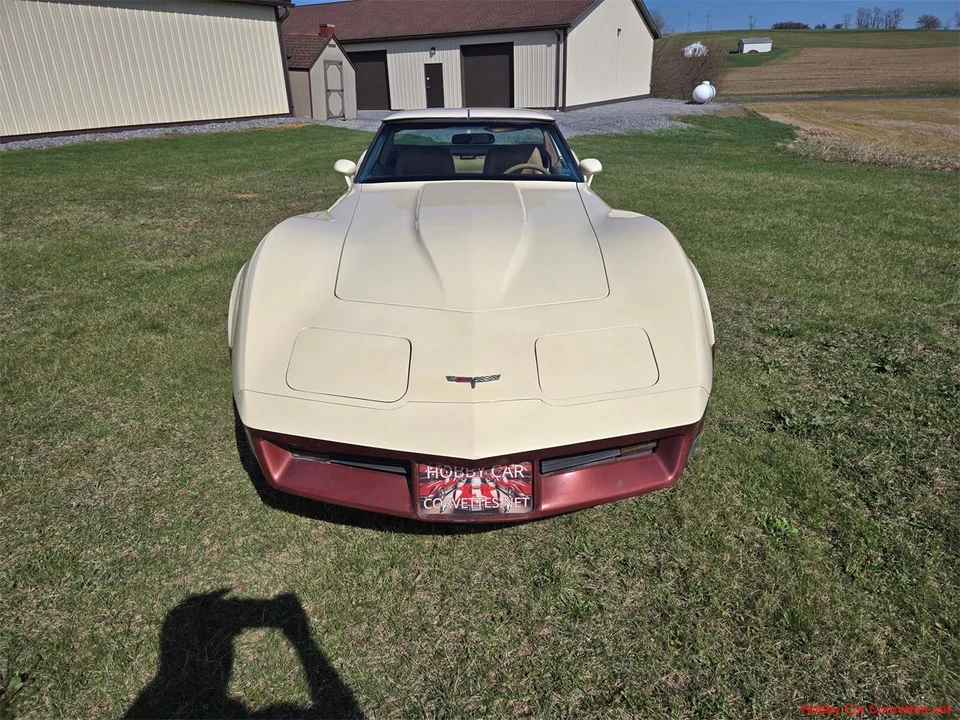 1981 Chevrolet Corvette C3 - Image 9 of 31