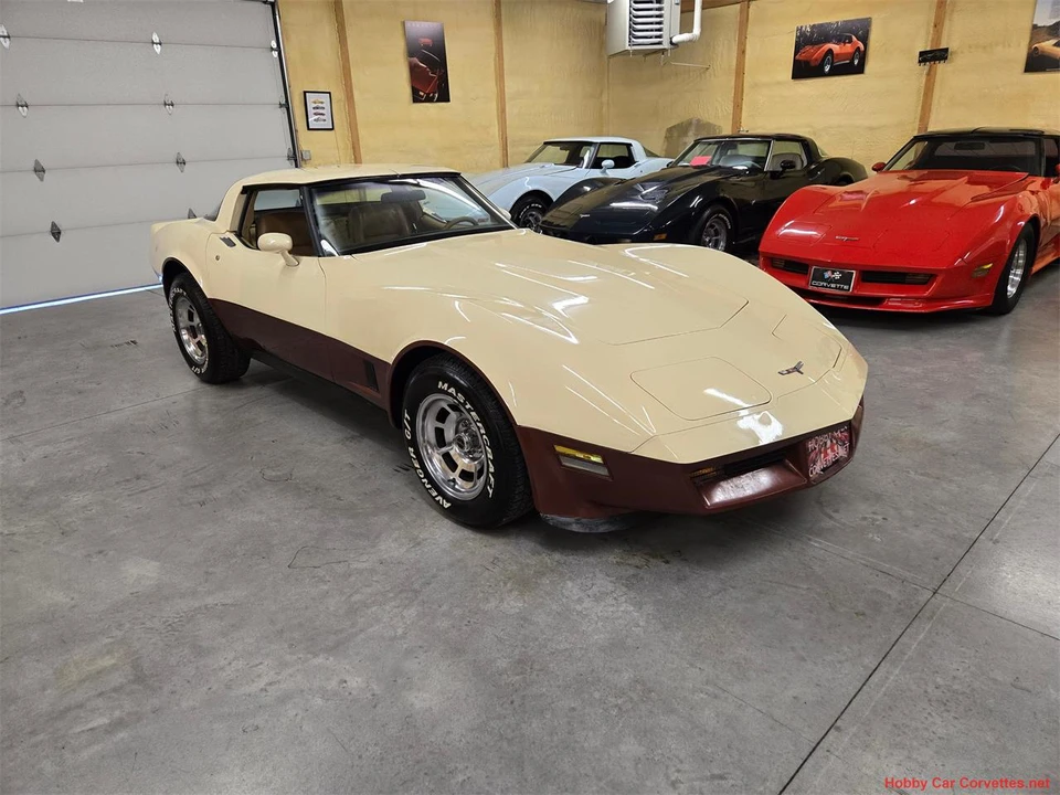 1981 Chevrolet Corvette C3 - Image 10 of 31