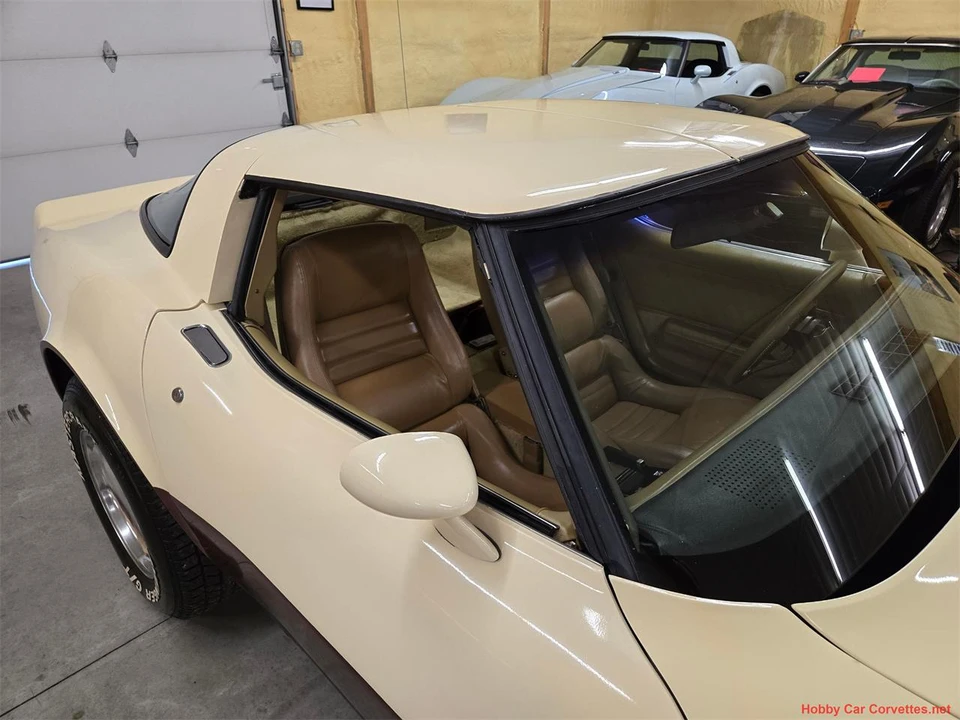 1981 Chevrolet Corvette C3 - Image 11 of 31