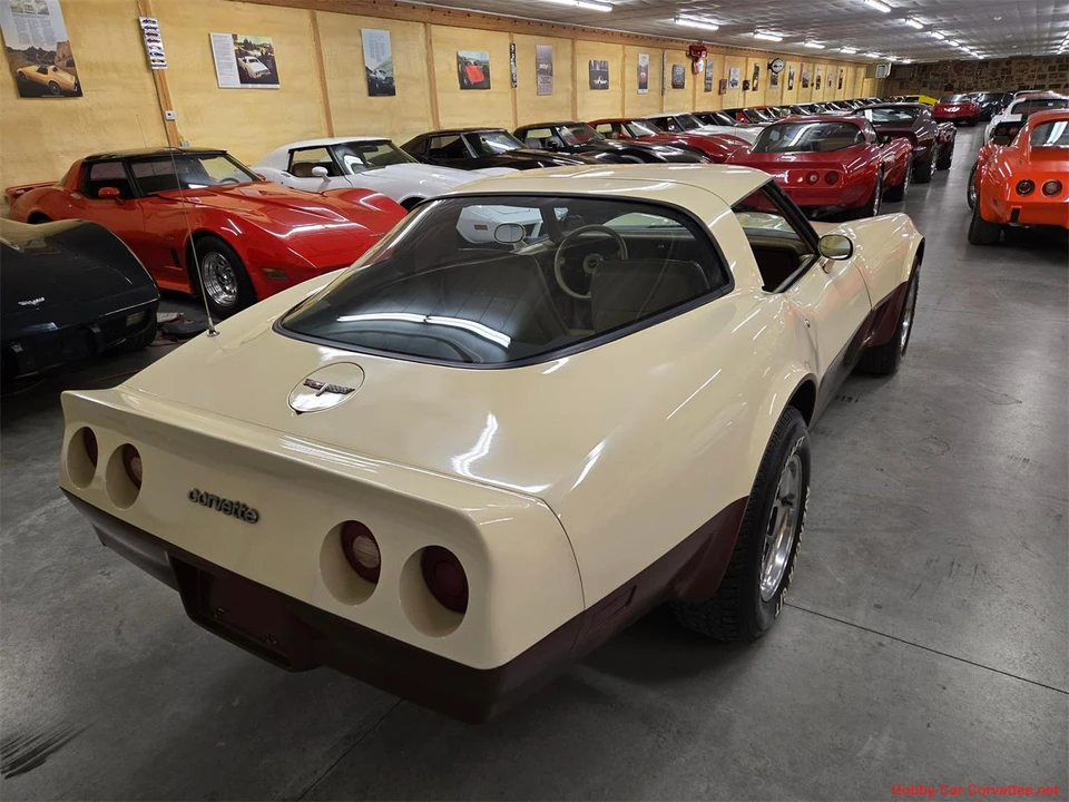 1981 Chevrolet Corvette C3 - Image 12 of 31