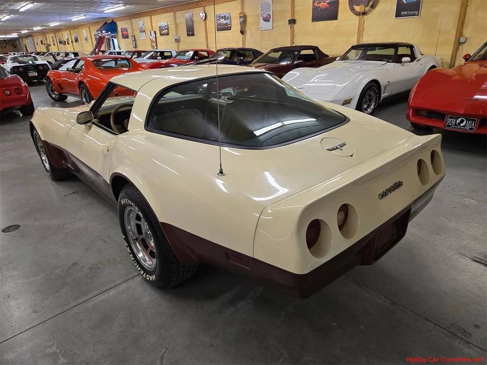 1981 Chevrolet Corvette C3 - Image 13 of 31
