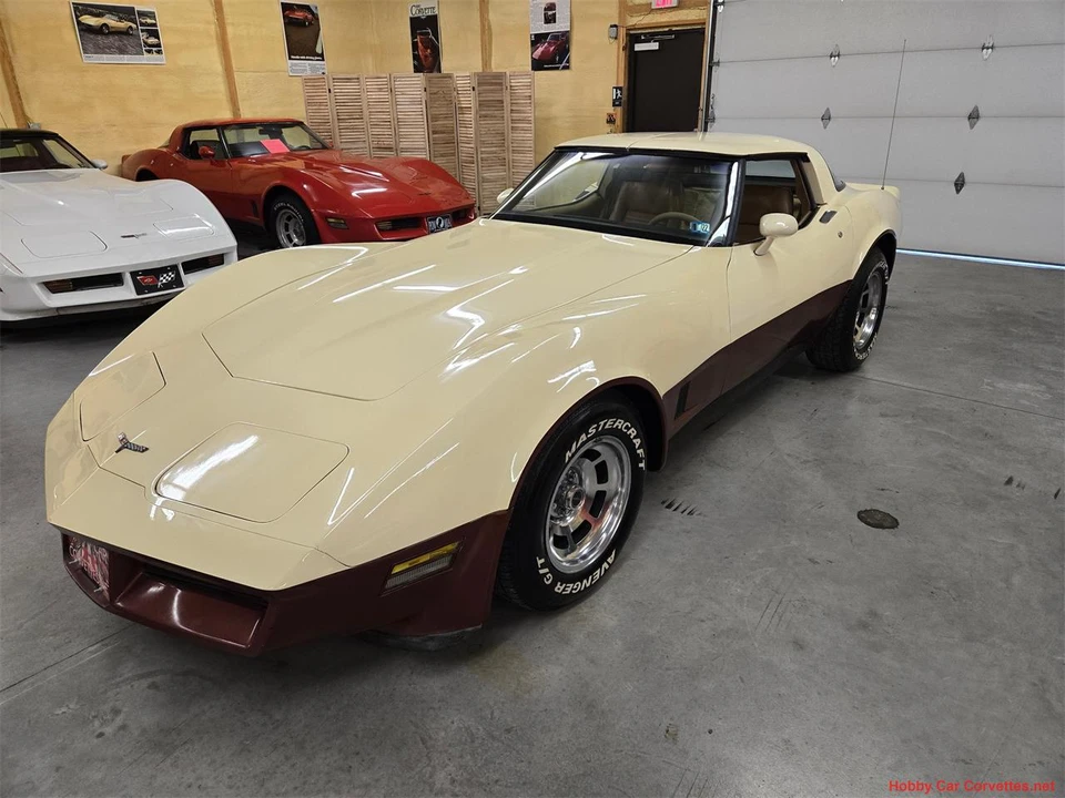 1981 Chevrolet Corvette C3 - Image 15 of 31