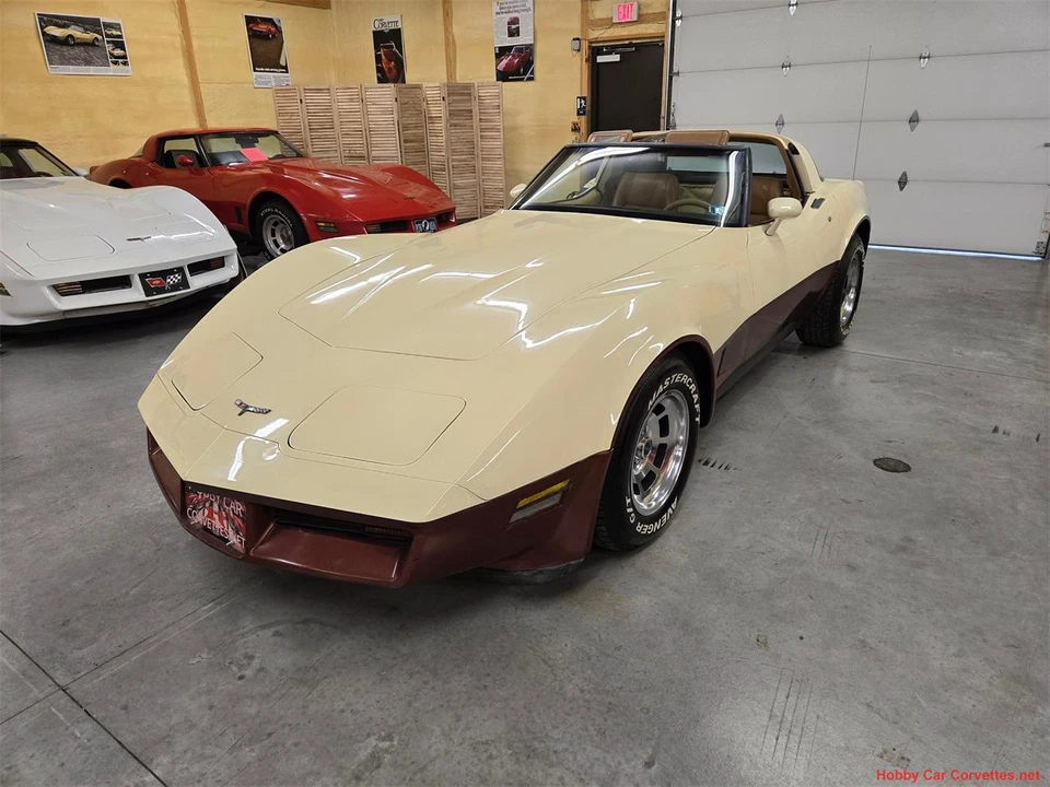 1981 Chevrolet Corvette C3 - Image 17 of 31