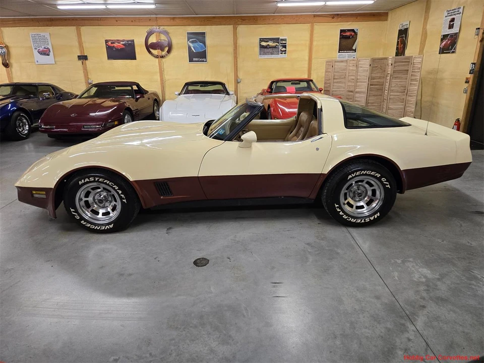 1981 Chevrolet Corvette C3 - Image 18 of 31