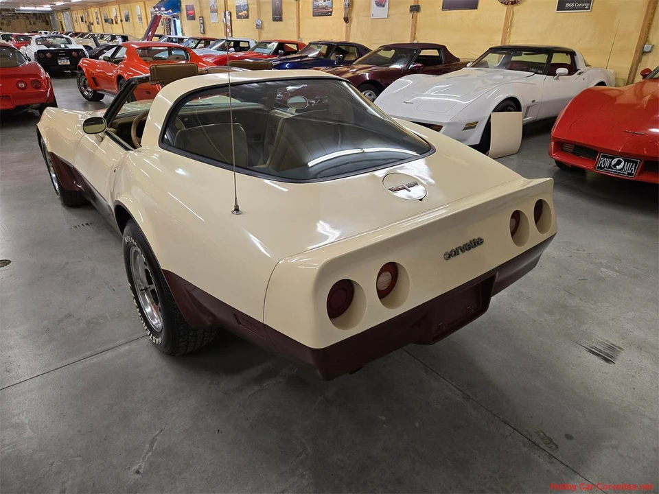 1981 Chevrolet Corvette C3 - Image 19 of 31