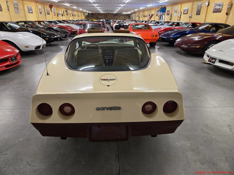 1981 Chevrolet Corvette C3 - Image 20 of 31