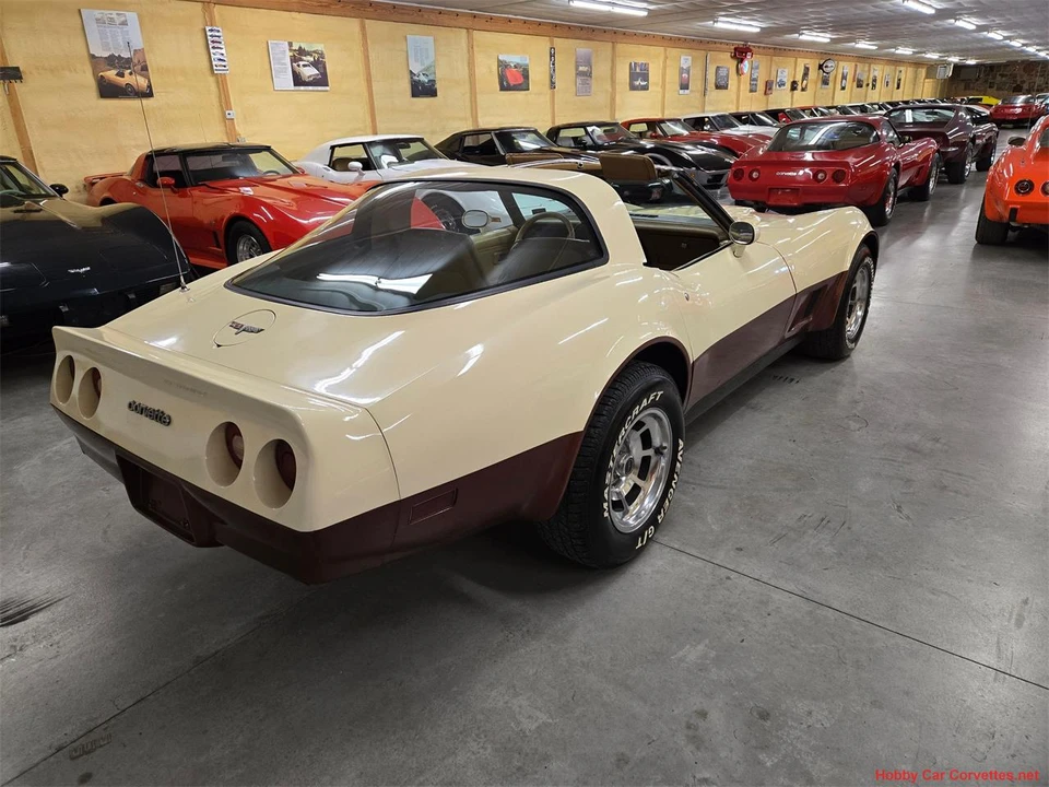 1981 Chevrolet Corvette C3 - Image 21 of 31