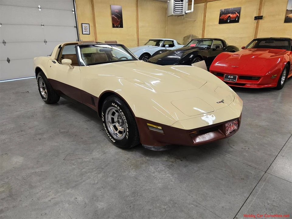 1981 Chevrolet Corvette C3 - Image 23 of 31