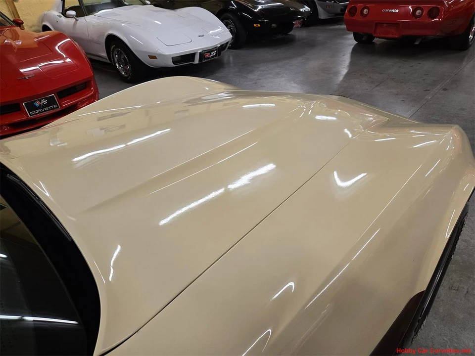1981 Chevrolet Corvette C3 - Image 25 of 31