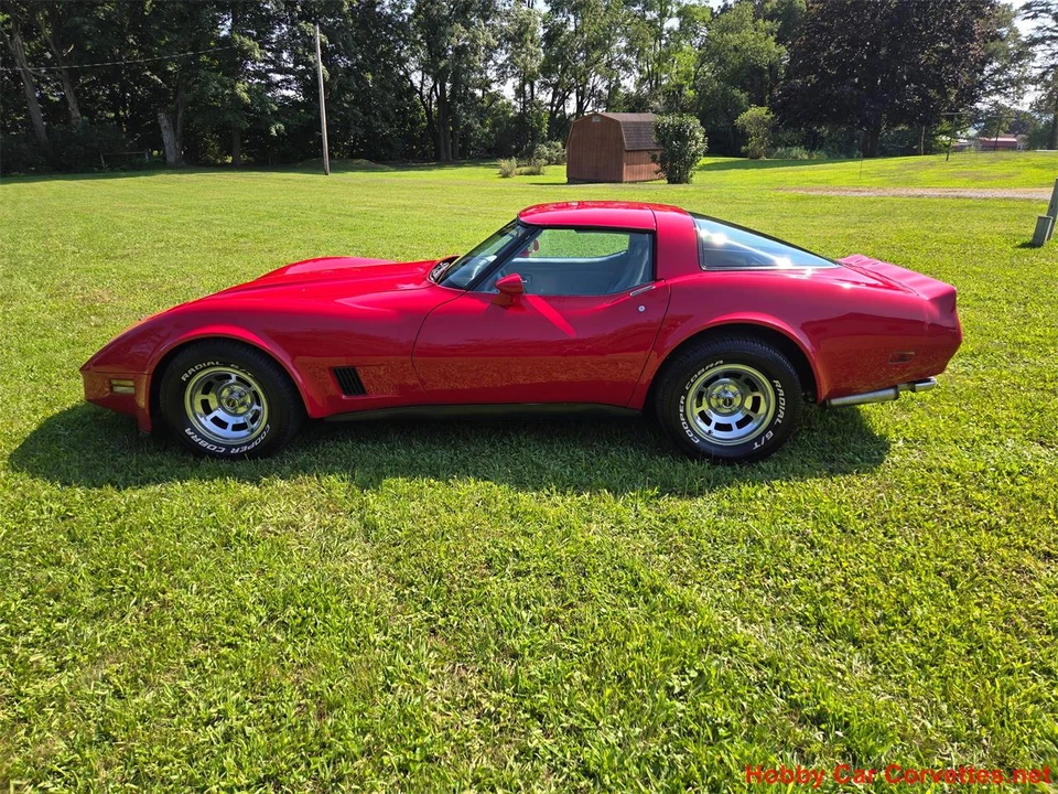1981 Chevrolet Corvette C3 - Image 2 of 31