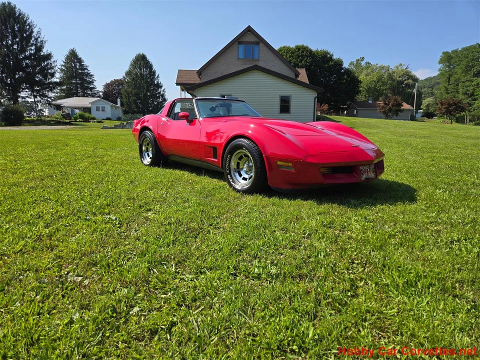 1981 Chevrolet Corvette C3 - Image 5 of 31