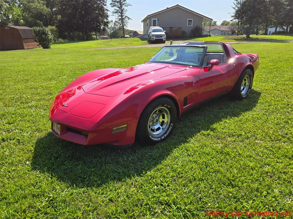 1981 Chevrolet Corvette C3 - Image 8 of 31