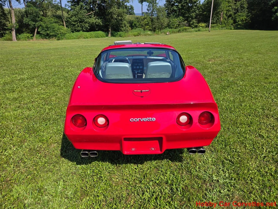 1981 Chevrolet Corvette C3 - Image 11 of 31