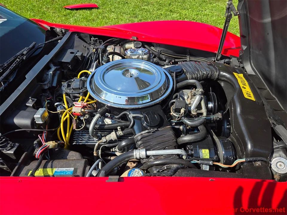 1981 Chevrolet Corvette C3 - Image 25 of 31