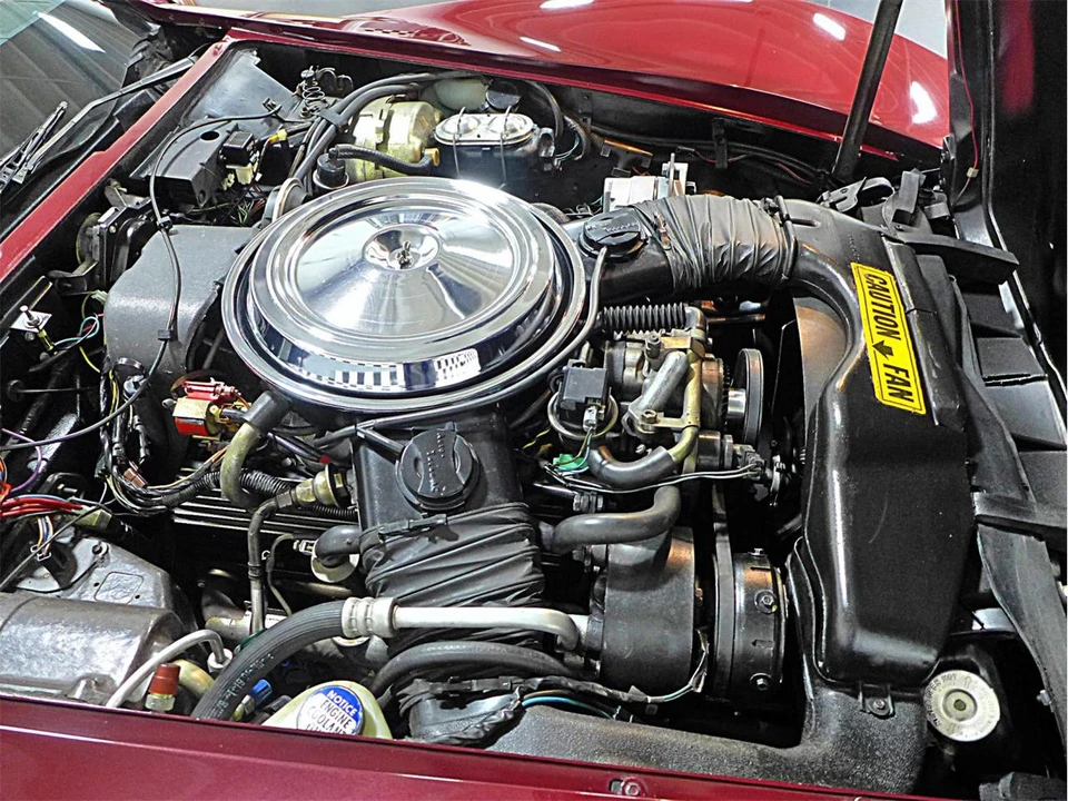 1981 Chevrolet Corvette C3 - Image 19 of 31