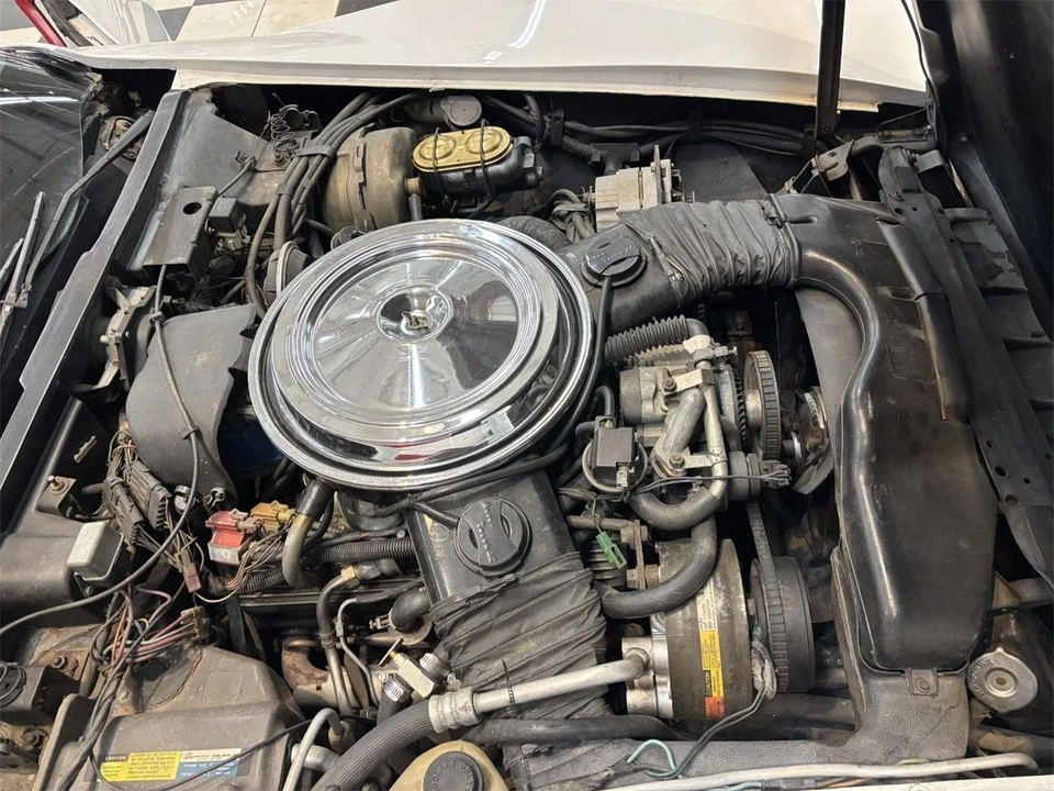 1981 Chevrolet Corvette C3 - Image 21 of 31