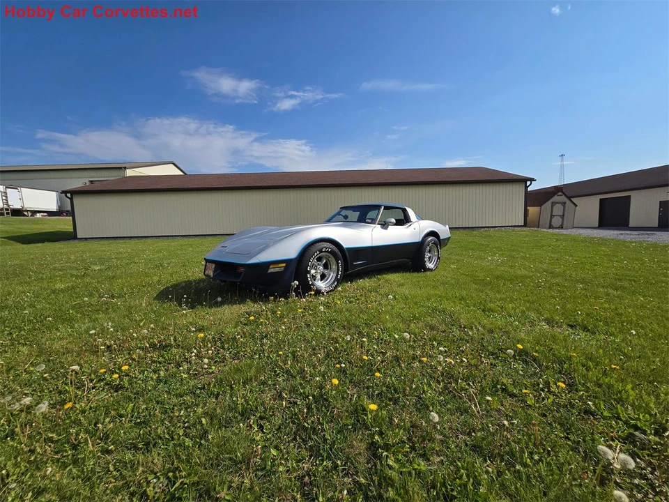 1981 Chevrolet Corvette C3 - Image 3 of 31