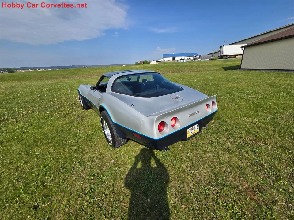 1981 Chevrolet Corvette C3 - Image 6 of 31
