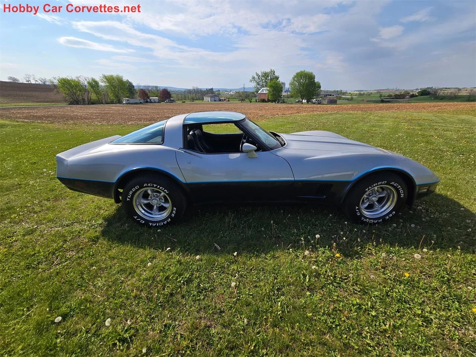 1981 Chevrolet Corvette C3 - Image 7 of 31