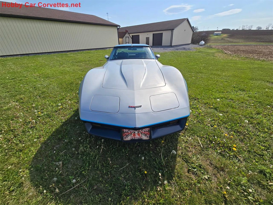 1981 Chevrolet Corvette C3 - Image 8 of 31