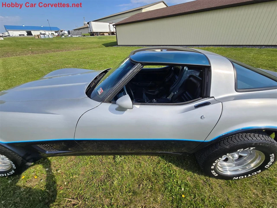 1981 Chevrolet Corvette C3 - Image 10 of 31
