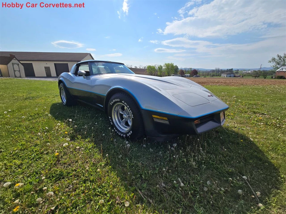 1981 Chevrolet Corvette C3 - Image 11 of 31