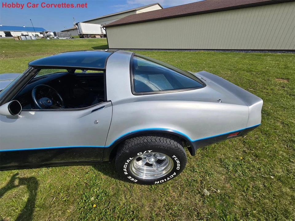 1981 Chevrolet Corvette C3 - Image 13 of 31