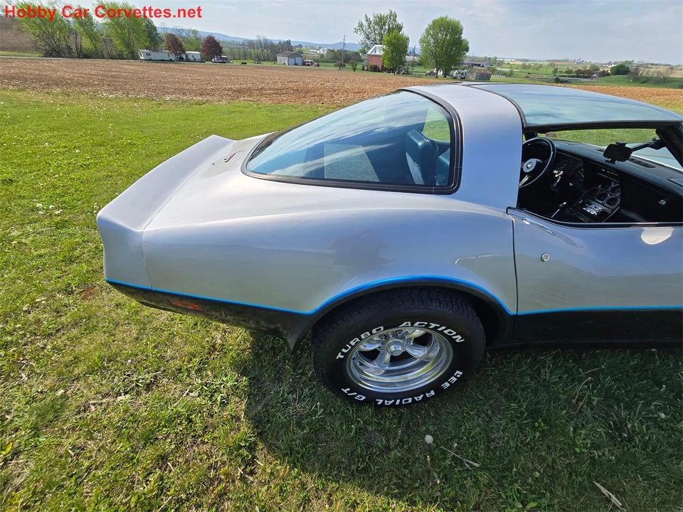 1981 Chevrolet Corvette C3 - Image 14 of 31