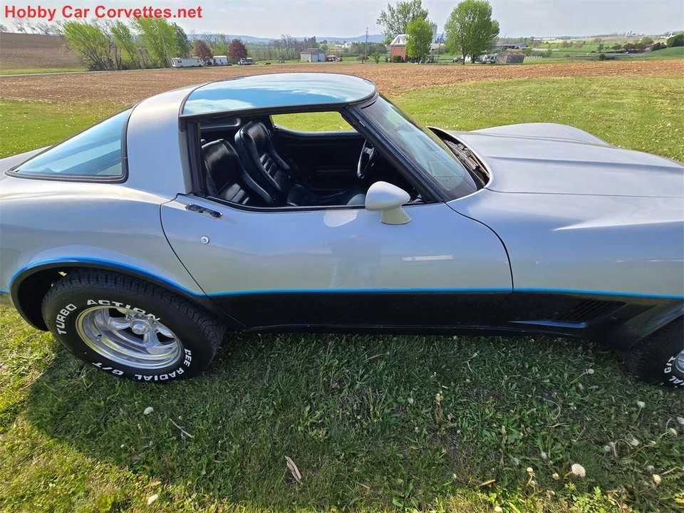 1981 Chevrolet Corvette C3 - Image 16 of 31