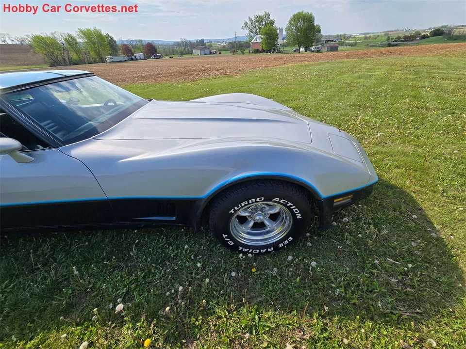 1981 Chevrolet Corvette C3 - Image 17 of 31